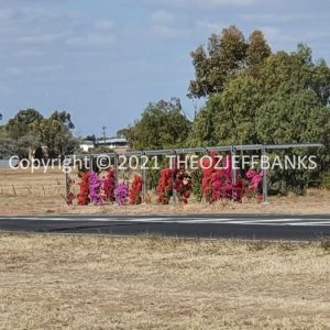 ROzCh8-112 | Travelling Around Australia with Jeff Banks