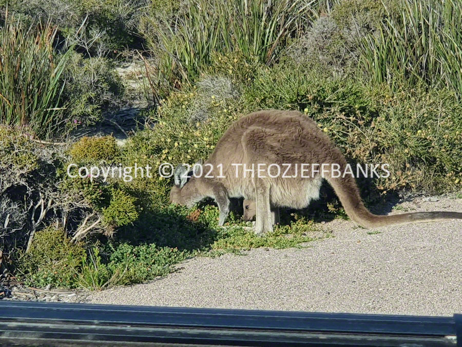 Around Oz the First Time - Chapter 81 - Albany to Esperance | Travelling Around Australia with Jeff Banks