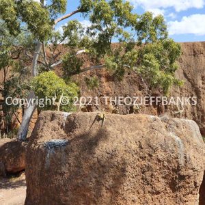 ROzCh9-51 | Travelling Around Australia with Jeff Banks