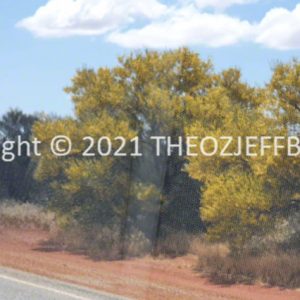 SSNMCh2-27 | Travelling Around Australia with Jeff Banks
