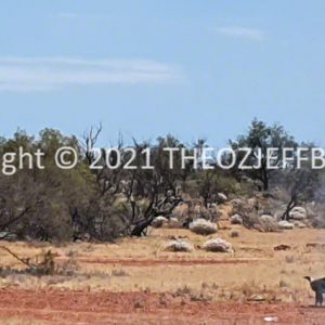 SSNMCh2-29 | Travelling Around Australia with Jeff Banks