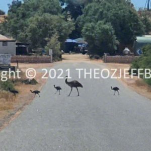 SSNMCh2-37 | Travelling Around Australia with Jeff Banks