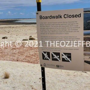 SSNMCh2-59 | Travelling Around Australia with Jeff Banks