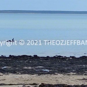SSNMCh2-64 | Travelling Around Australia with Jeff Banks