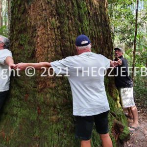 HWGACh10-96 | Travelling Around Australia with Jeff Banks