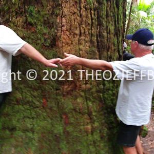 HWGACh10-99 | Travelling Around Australia with Jeff Banks
