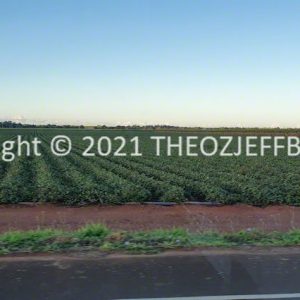 HWGACh12-27 | Travelling Around Australia with Jeff Banks