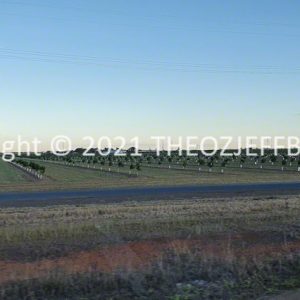 HWGACh12-28 | Travelling Around Australia with Jeff Banks