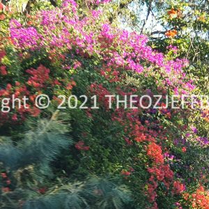 HWGACh13-57F | Travelling Around Australia with Jeff Banks