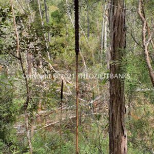HWGACh19-39 | Travelling Around Australia with Jeff Banks