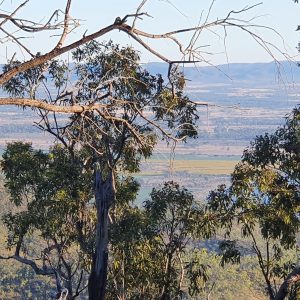 HWGACh20-17 | Travelling Around Australia with Jeff Banks