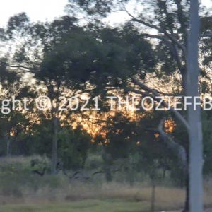 HWGACh20-82 | Travelling Around Australia with Jeff Banks