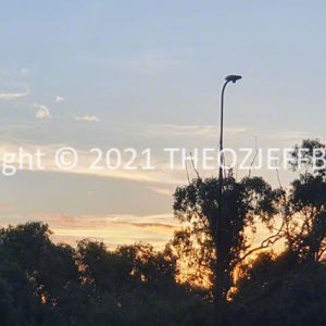 HWGACh26-94S | Travelling Around Australia with Jeff Banks
