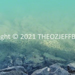 HWGACh27-07 | Travelling Around Australia with Jeff Banks