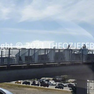 HWGACh31-18