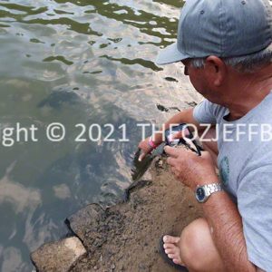 HWGACh32-77 | Travelling Around Australia with Jeff Banks