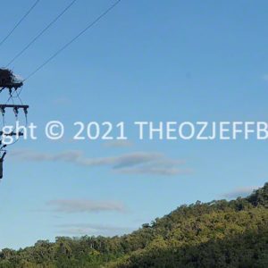 HWGACh34-127 | Travelling Around Australia with Jeff Banks