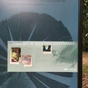 HWGACh37-125 | Travelling Around Australia with Jeff Banks