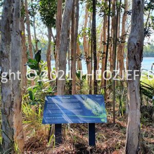 HWGACh37-29 | Travelling Around Australia with Jeff Banks