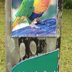 HWGACh37-71 | Travelling Around Australia with Jeff Banks