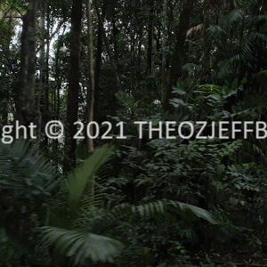 HWGACh38-106 | Travelling Around Australia with Jeff Banks