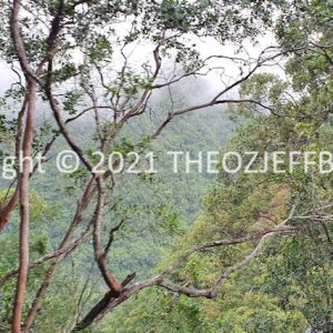 HWGACh38-127 | Travelling Around Australia with Jeff Banks