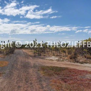 HWGACh42-23R | Travelling Around Australia with Jeff Banks