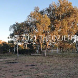 HWGACh49-03 | Travelling Around Australia with Jeff Banks