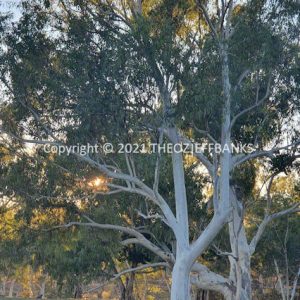 HWGACh49-12C | Travelling Around Australia with Jeff Banks