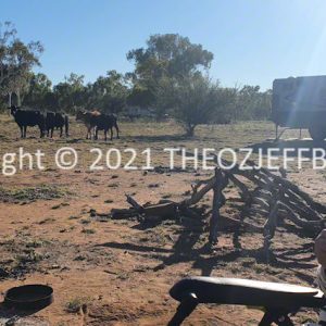 HWGACh50-03 | Travelling Around Australia with Jeff Banks