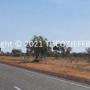 HWGACh51-36 | Travelling Around Australia with Jeff Banks