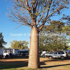 HWGACh52-116C | Travelling Around Australia with Jeff Banks