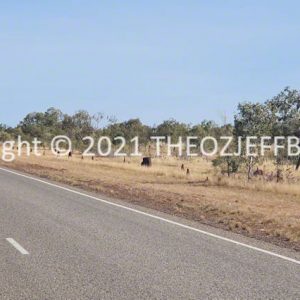 HWGACh52-48 | Travelling Around Australia with Jeff Banks