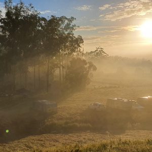 HWGACh8-3P | Travelling Around Australia with Jeff Banks