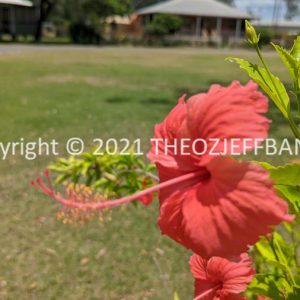 LWHCh06-29 | Travelling Around Australia with Jeff Banks