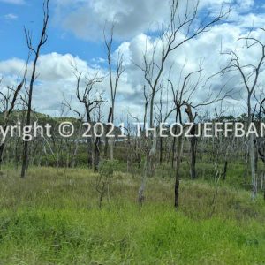 LWHCh08-08 | Travelling Around Australia with Jeff Banks