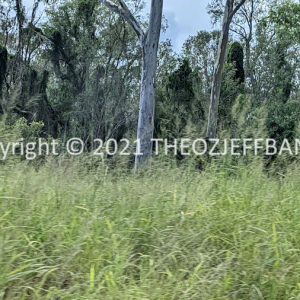 LWHCh08-17 | Travelling Around Australia with Jeff Banks