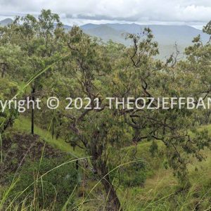 LWHCh09-44 | Travelling Around Australia with Jeff Banks