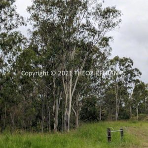 LWHCh09-59C | Travelling Around Australia with Jeff Banks