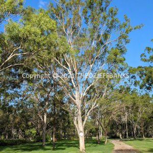 LWHCh12-01C | Travelling Around Australia with Jeff Banks