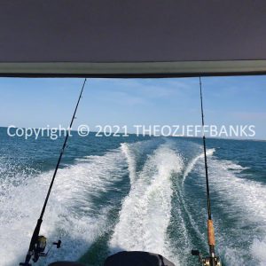 ROzCh54-06