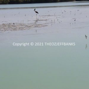 ROzCh54-08