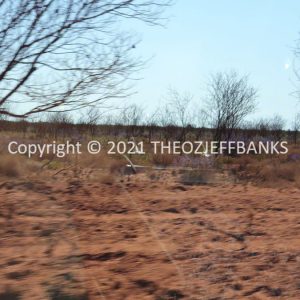 ROzCh55-05
