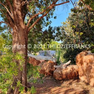 ROzCh55-108 | Travelling Around Australia with Jeff Banks
