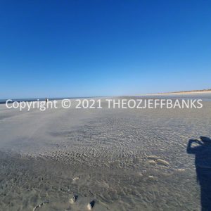 ROzCh55-20