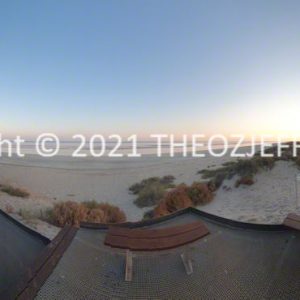 ROzCh57-11P