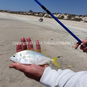 ROzCh57-18