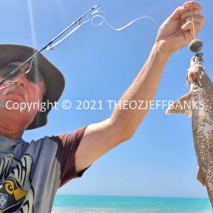 ROzCh58-08 | Travelling Around Australia with Jeff Banks