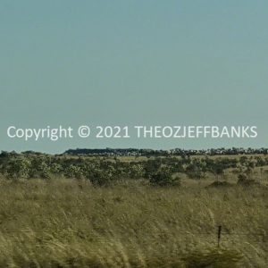 ROzCh62-123 | Travelling Around Australia with Jeff Banks