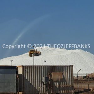 ROzCh62-20
